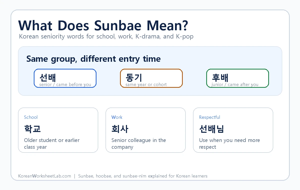 Sunbae meaning in Korean chart explaining seonbae, hoobae, donggi, and seonbaenim